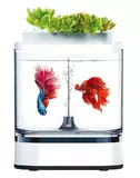 Акваферма Geometry Mini Lazy Fish Tank Pro C300 Акваферма Geometry Mini Lazy Fish Tank Pro C300